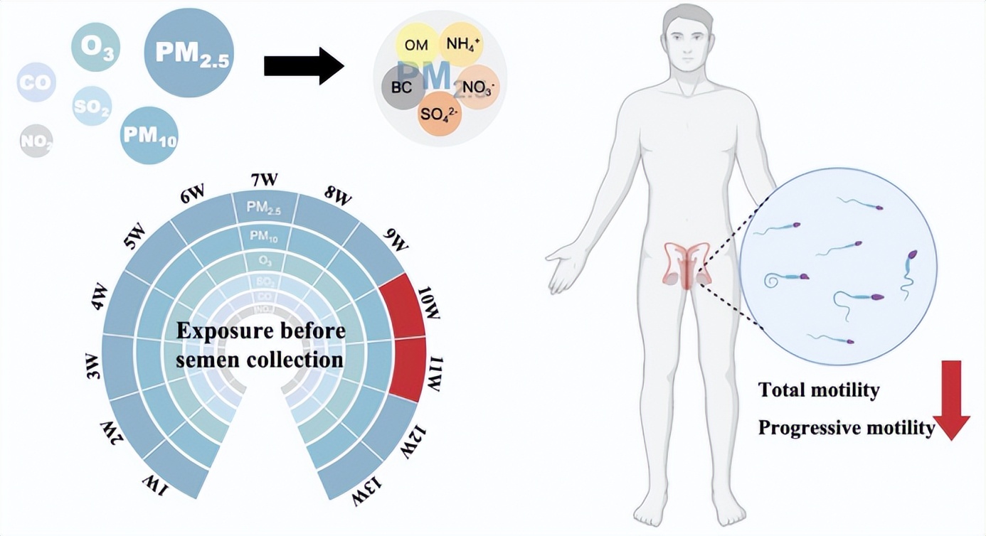 070daf20b99e4960b07a233900c930e7tplv-tt-origin-web_gif 070daf20b99e4960b07a233900c930e7tplv-tt-origin-web_gif